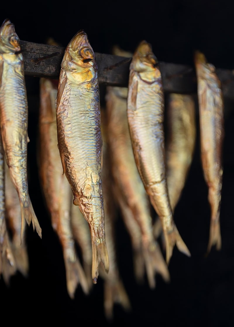 Swedish Herring
